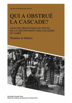 Qui a Obstru La Cascade?