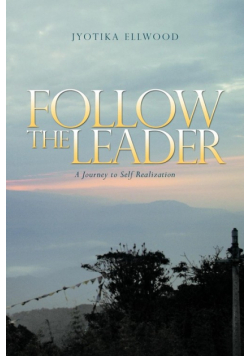 Follow the Leader
