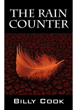 The Rain Counter