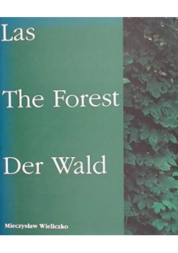 Las The Forest Der Wald