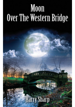 Moon Over the Western Bridge
