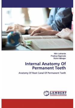 Internal Anatomy Of Permanent Teeth