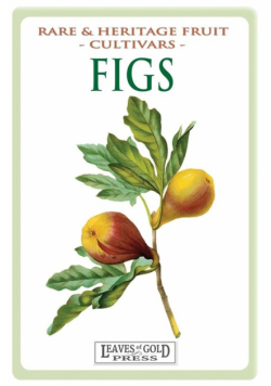 Figs