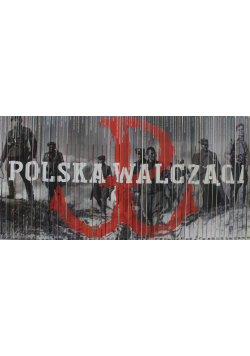 Polska Walcząca 56 tomów