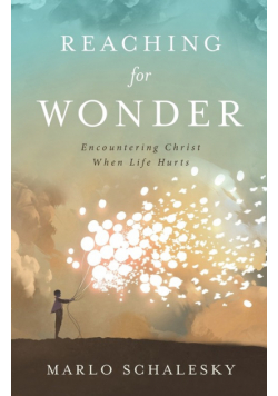Reaching for Wonder