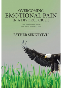 Overcoming Emotional Pain in a Divorce Crisis