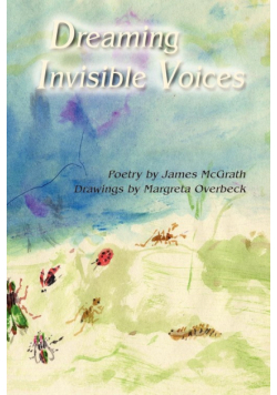 Dreaming Invisible Voices