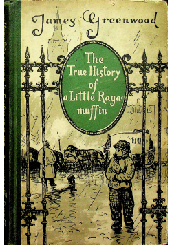 The true history of a little ragamuffin
