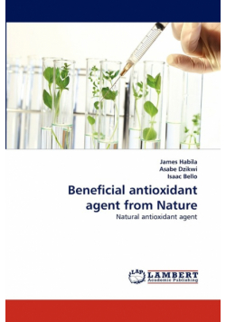 Beneficial antioxidant agent from Nature