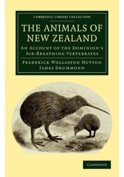 The Animals of New Zealand