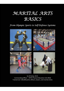 Martial Arts Basics
