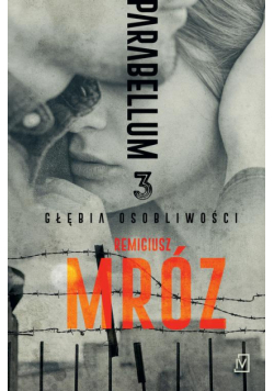Parabellum 3. Głębia osobliwości