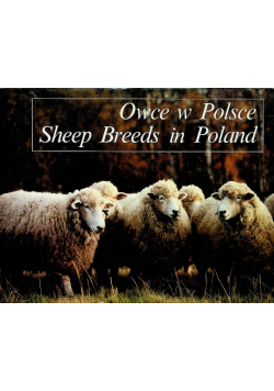 Owce w Polsce