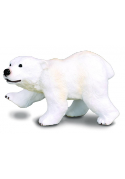Niedźwiadek polarny idący