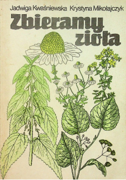 Zbieramy zioła