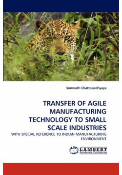 Transfer of Agile Manufacturing Technology to Small Scale Industries
