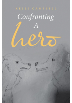 Confronting a Hero