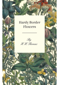 Hardy Border Flowers