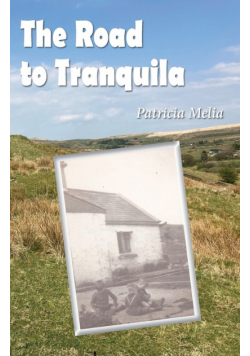 The Road to Tranquila