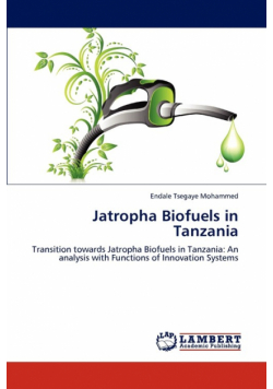 Jatropha Biofuels in Tanzania