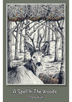 A Spell in The Woods