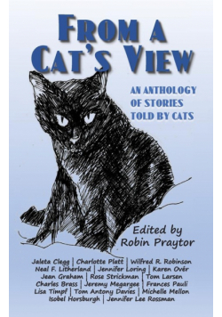 From a Cat's View