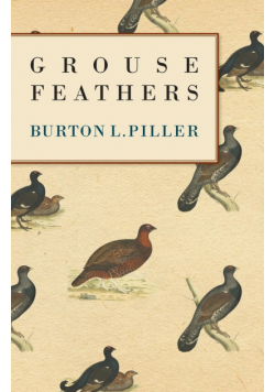Grouse Feathers