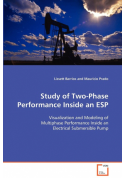 Study of Two-Phase Performance Inside an ESP