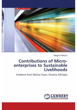 Contributions of Micro-Enterprises to Sustainable Livelihoods