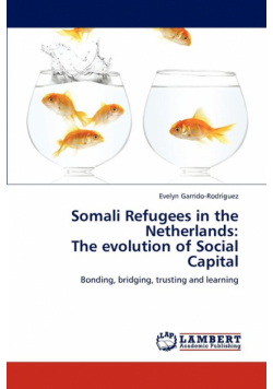 Somali Refugees in the Netherlands