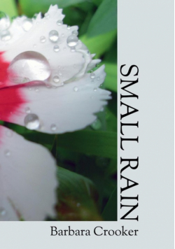 Small Rain