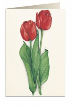 Karnet B6 + koperta 7517 Czerwone tulipany