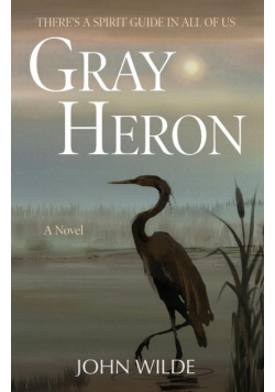 Gray Heron