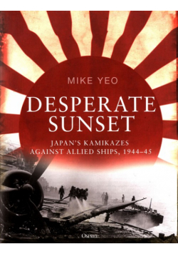 Desperate Sunset
