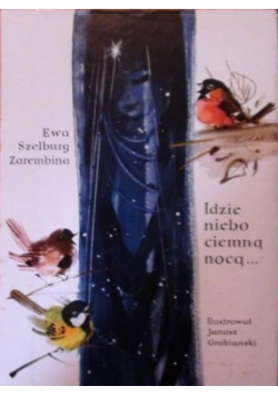 Idzie niebo ciemną nocą