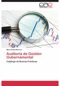Auditoria de Gestion Gubernamental
