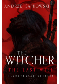 The Last Wish Illustrated Edition