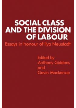 Social Class and the Division of Labour