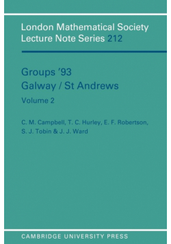 Groups '93 Galway/St Andrews