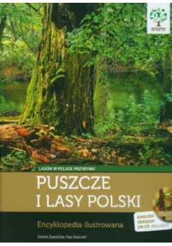 Puszcze i lasy Polski