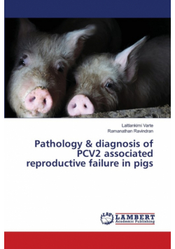 Pathology & diagnosis of PCV2 associated reproductive failure in pigs