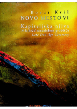 Novo mesto VI