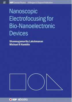 Nanoscopic Electrofocusing for Bio-Nanoelectronic Devices