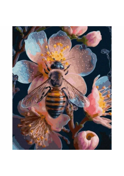 Malowanie po numerach - Pszczoła 40x50 cm