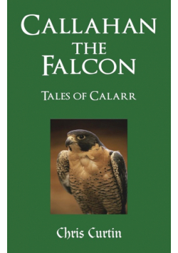 Callahan the Falcon