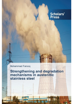 Strengthening and degradation mechanisms in austenitic stainless steel