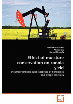 Effect of moisture conservation on canola yield