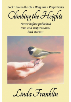 Climbing the Heights