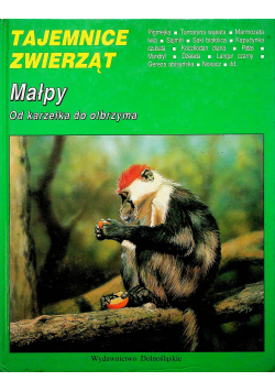 Małpy od karzełka do olbrzyma
