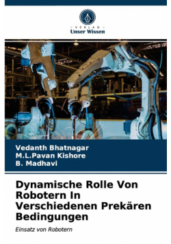 Dynamische Rolle Von Robotern In Verschiedenen Prekären Bedingungen